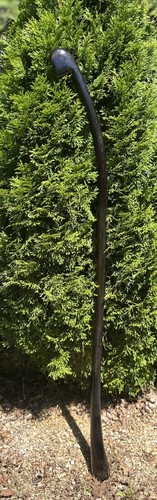 Stained hornbeam - xl, 3’
